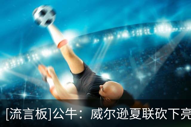 [流言板]公牛：威尔逊夏联砍下亮眼数据，只是开始